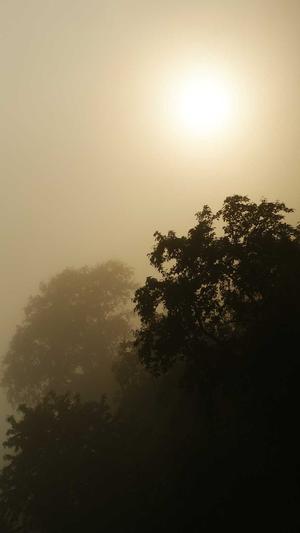 贵阳蜘蛛池外推软件截图5