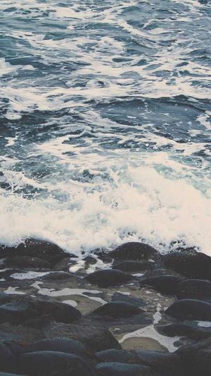 百度seo关键词工具截图5