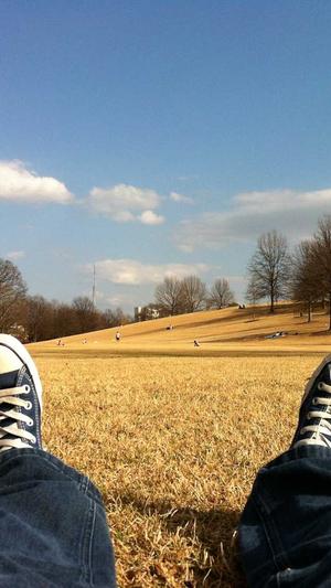 云蜘蛛池外推库截图4