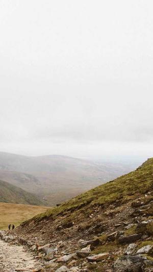 seo软文推广工具截图2