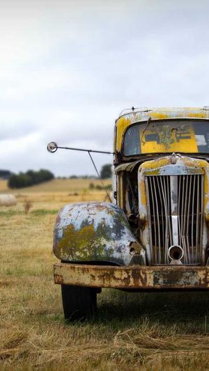 蜘蛛池跟站群的区别截图2
