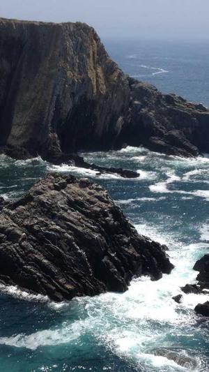 超级seo工具截图1