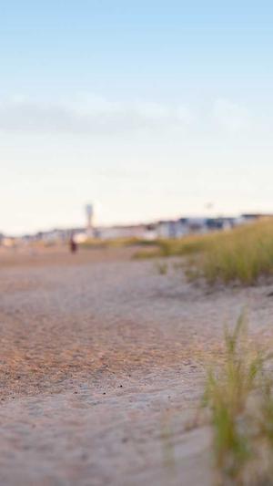 知名网站建设公司排名截图3