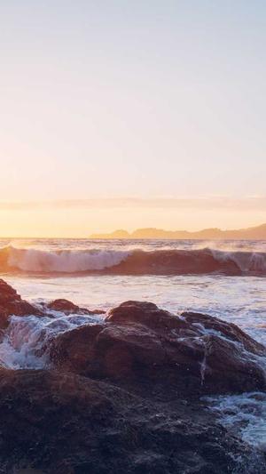 seo排名工具快速提高截图5