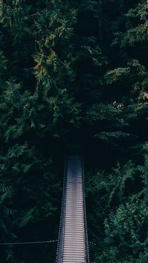 黄浦网站建设截图2