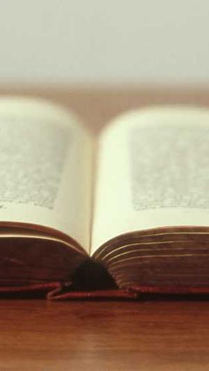 郑州网站建设电话截图5