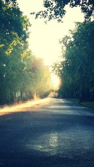 php泛目录站群截图1