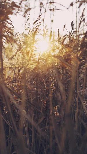 外贸汽配网站建设截图1