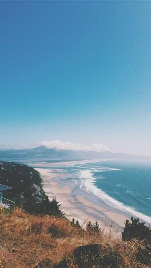 顺义网站建设截图2