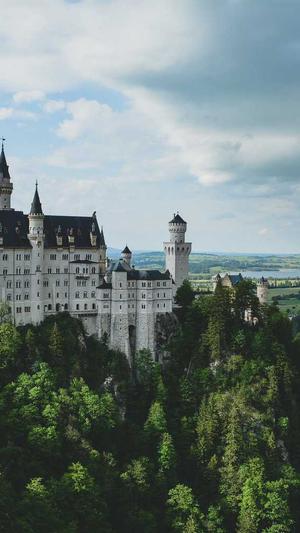 寄生虫蜘蛛池排名截图2