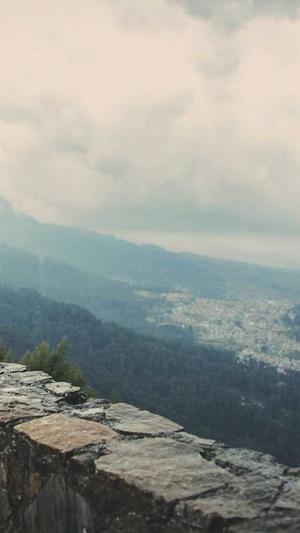 5118网seo关键词工具截图3