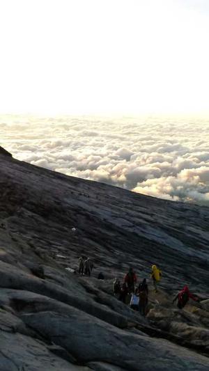 seo优化员工的工具截图2