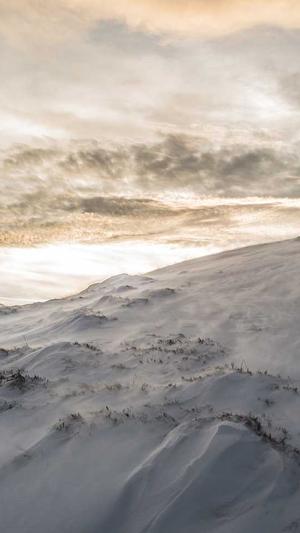 建设网站需要什么条件截图4