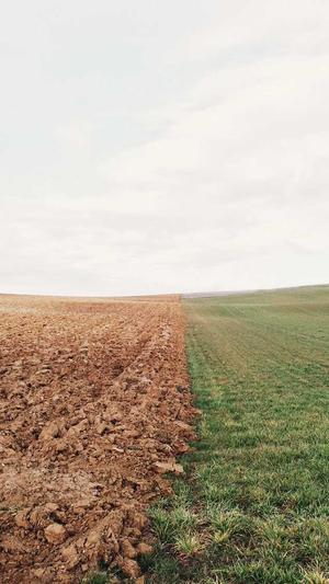 黑帽seo工具箱截图4