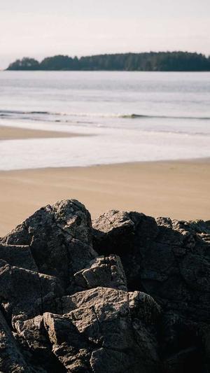 泛目录 无效截图4