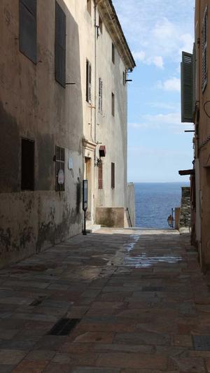 seo优化技术教程蜘蛛池截图3