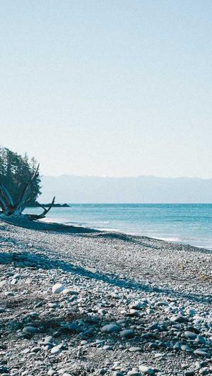 seo挖词工具截图3