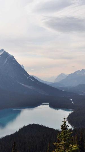 蜘蛛池源码2020截图1