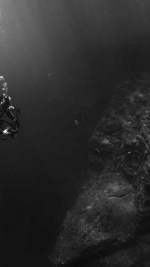 蜘蛛池的缺点有哪些截图2