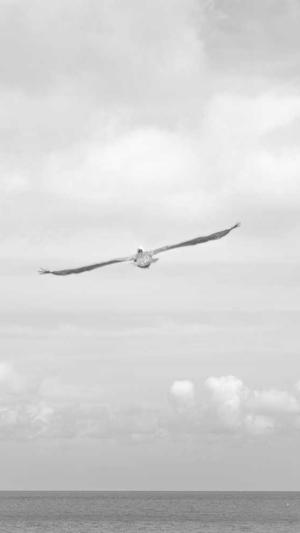 seo排名监测工具截图1