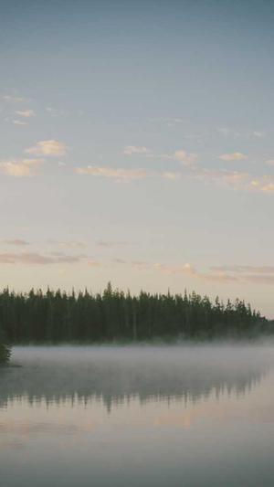 蜘蛛池叫什么名字截图1