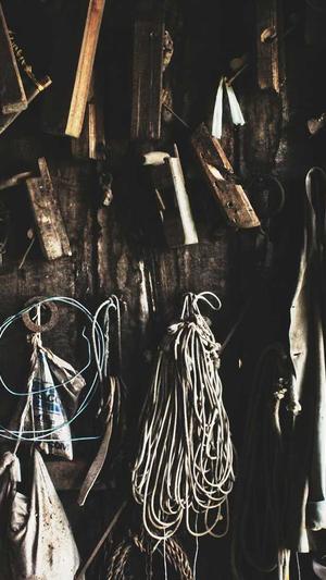 蜘蛛池小蝌蚪截图1