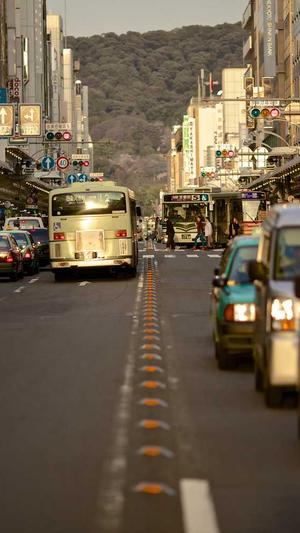 蜘蛛池租赁价格表截图2