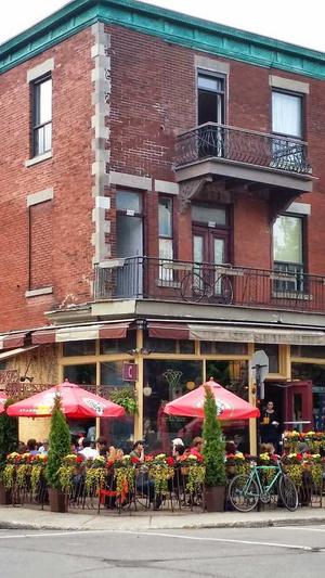 蜘蛛池的缺点有哪些截图4