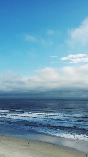 寄生虫蜘蛛池排名截图4