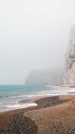 常用seo工具截图1