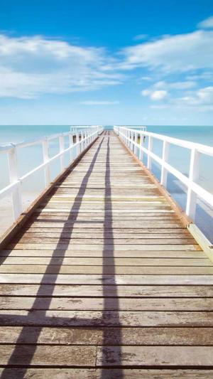 独立站seo工具截图2