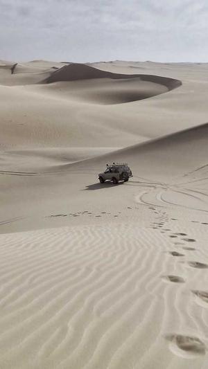 免费seo优化工具截图3