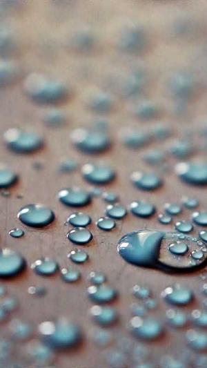 泛目录360蜘蛛池截图2