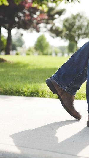 seo诊断分析工具截图2