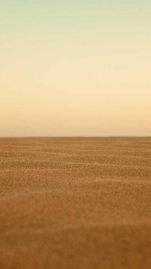 泛目录使用教程seo截图3