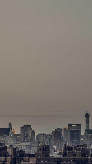 seo优化 工具截图2