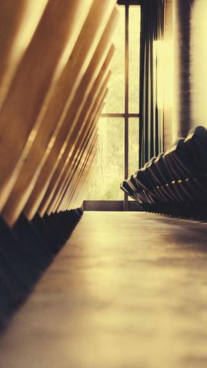 泛目录程序截图2