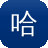 哈尔滨网站建设多少钱
